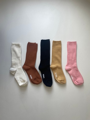 golgi color socks(5C)